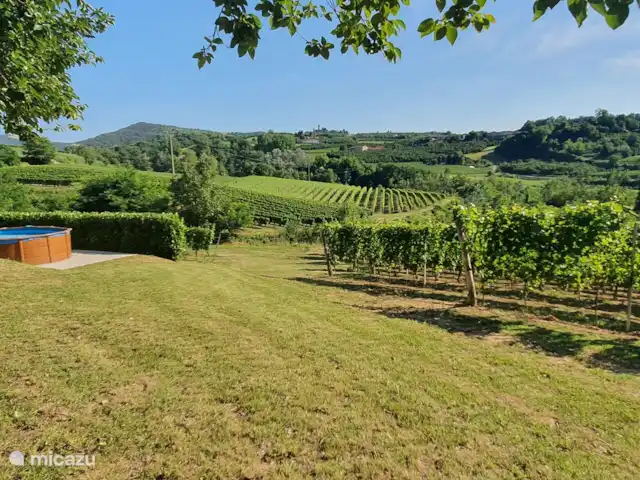 Villa al Plin huren in Italië, Piëmont, Vesime - villa Overzicht en uitzicht. De heuvels en wijngaarden lopen vloeiend in elkaar over.