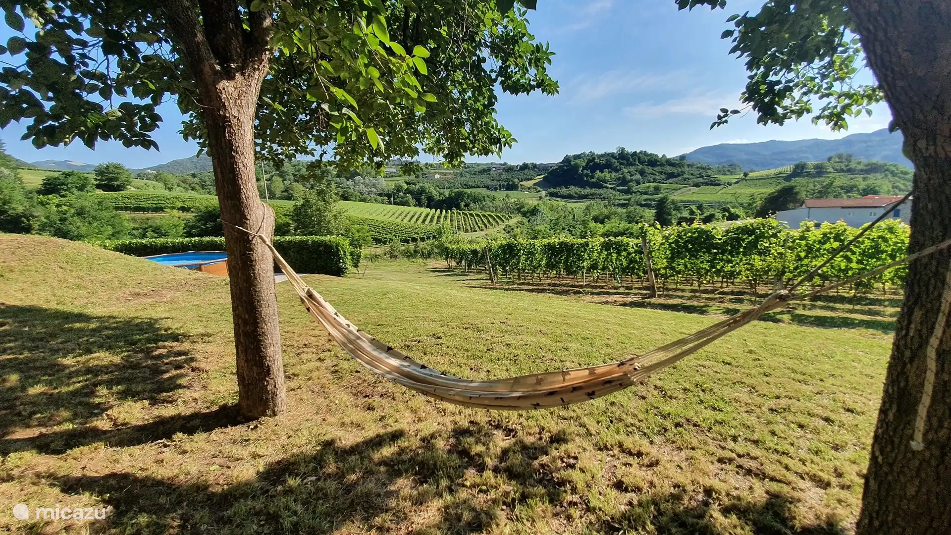 Desconectar en la hamaca...