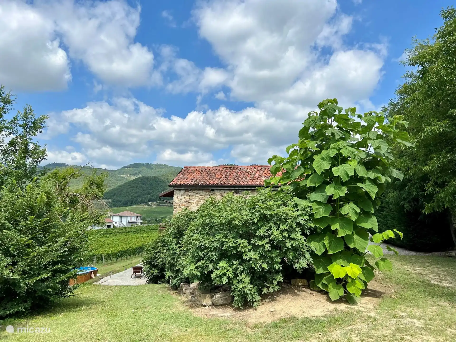 Una vista lateral de la casa y el jardín. La Catalpa y la higuera que produce deliciosos higos en el verano. 