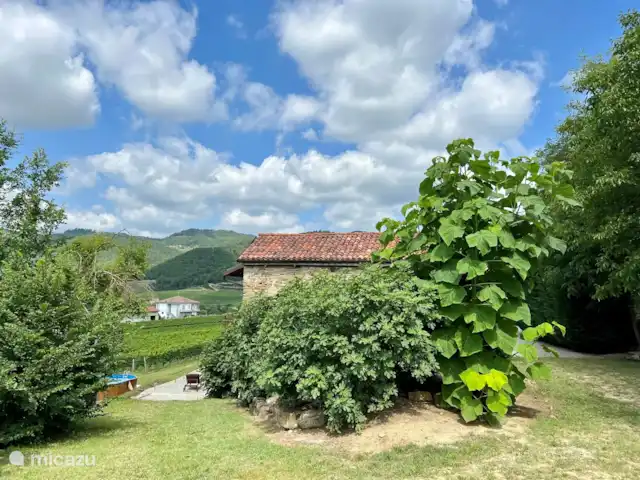 Villa al Plin huren in Italië, Piëmont, Vesime - villa Een zijaangezicht van het huis en de tuin. De Catalpa en de vijgenboom die in de zomer overheerlijke vijgen geeft.