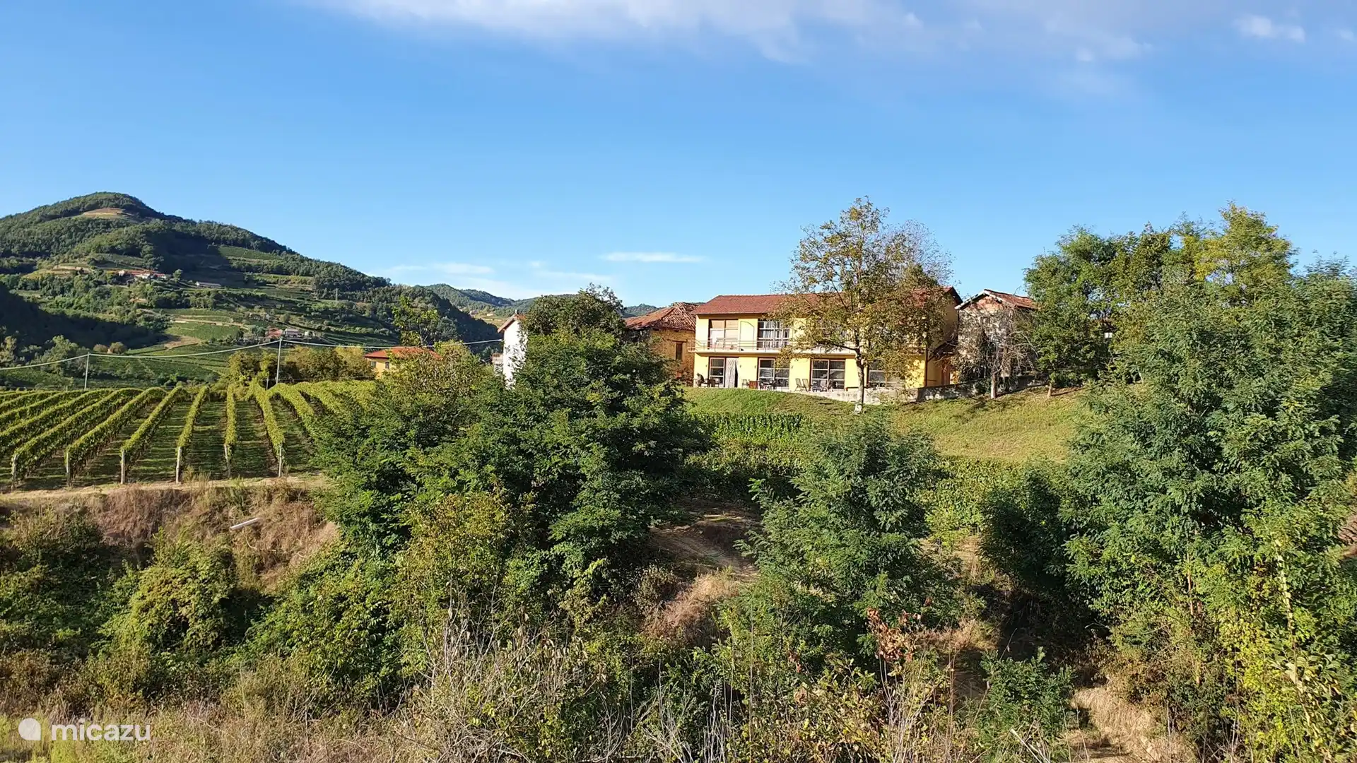 La casa vista desde los viñedos detrás. 