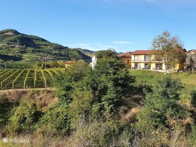 Villa al Plin huren in Italië, Piëmont, Vesime - villa Het huis gezien vanuit de achtergelegen wijngaarden.