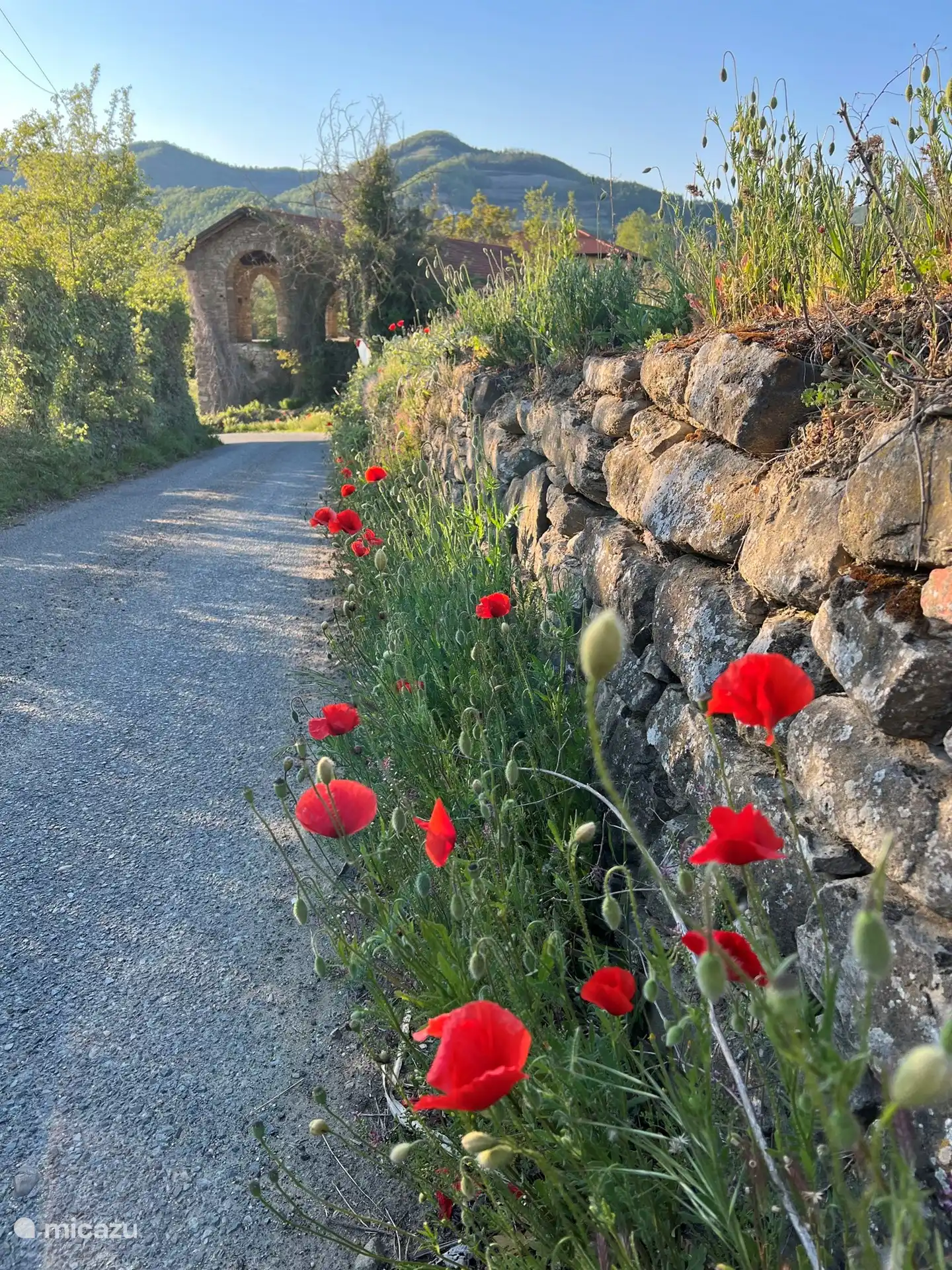 Villa al Plin se encuentra en la pequeña carretera, no lejos de la Strada Provinciale SP24. De fácil acceso, pero con suficiente tranquilidad y privacidad. En primavera disfrutamos de las amapolas en la pared a lo largo de la carretera. 