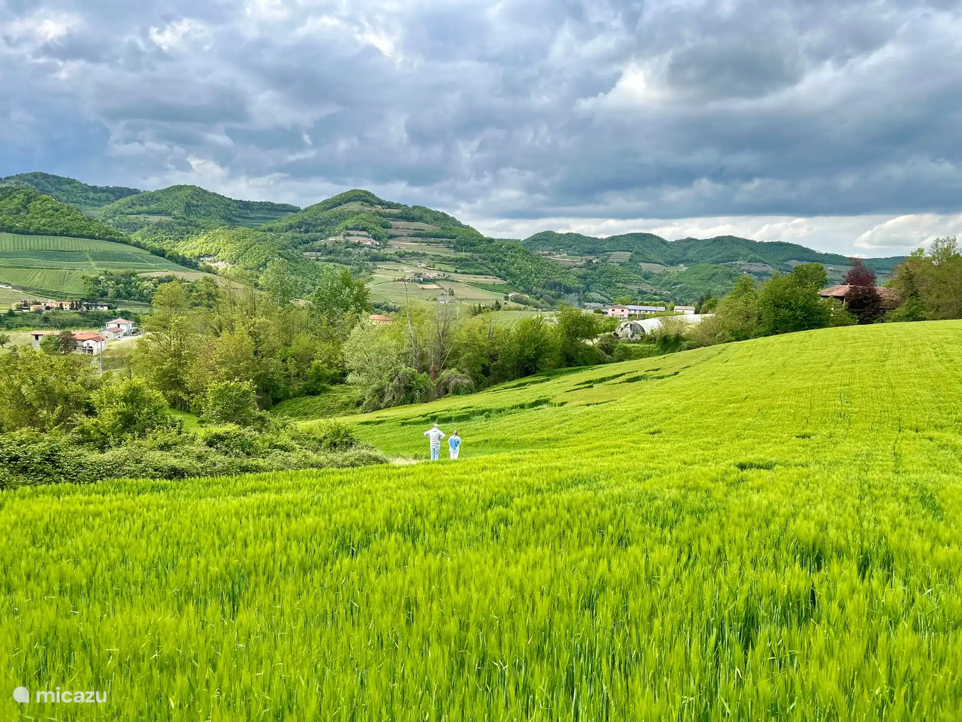 Muchas oportunidades de senderismo, en el valle o en las colinas. 