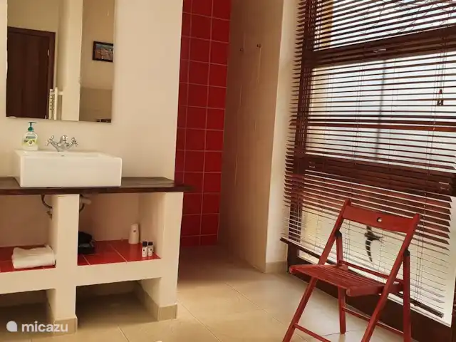 Villa al Plin huren in Italië, Piëmont, Vesime - villa Badkamer met douche. In totaal zijn er twee badkamers, op de eerste verdieping. Ook is er een separate w.c. beneden.