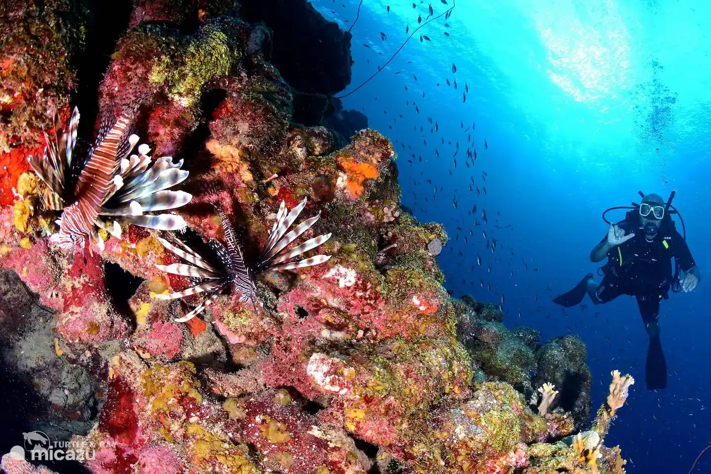 Umgebung des Resorts