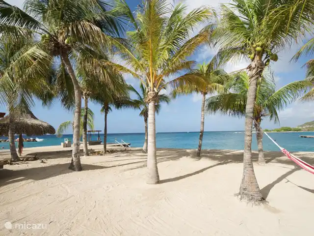 Élégant et nouveau : Bamboo Bungalow | Curaçao, Banda Ariba (est), Brakkeput Abou - appartement La plage de Jan Thiel se trouve à seulement 5 minutes en voiture de l’appartement.