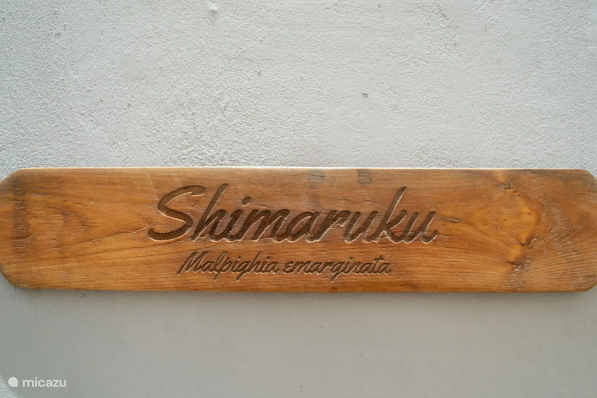 Shimaruku in Curaçao, Curacao-Mitte, Santa Rosa-Scherpenheuvel - Studio