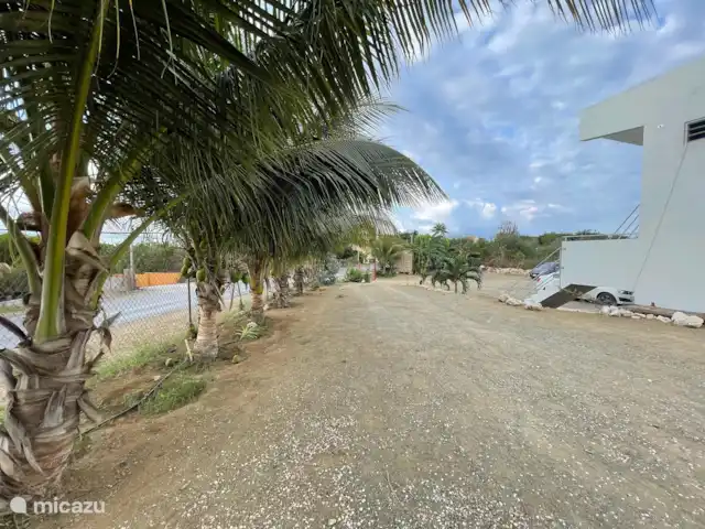 Kadushi  | Curaçao, Curaçao-Centre, Santa Rosa-Scherpenheuvel - studio Vue depuis le jardin du complexe