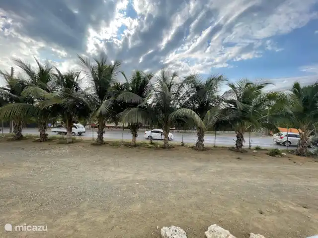 Kadushi  | Curaçao, Curaçao-Centre, Santa Rosa-Scherpenheuvel - studio Vue depuis le jardin du complexe