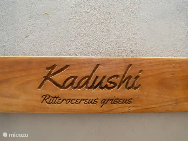 Kadushi  | Curaçao, Curaçao-Centre, Santa Rosa-Scherpenheuvel - studio Nom de la salle