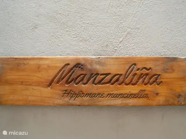 Manzalinja | Curaçao, Curaçao-Centre, Santa Rosa-Scherpenheuvel - studio Nom de la salle