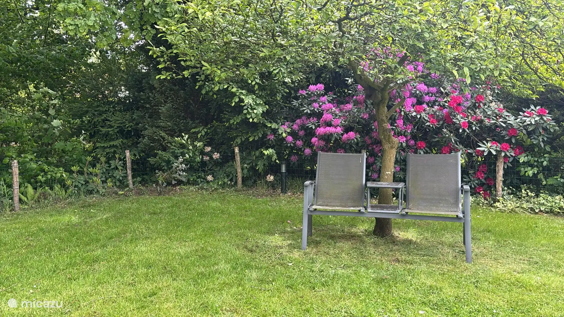 Gezellig zitje in een groenrijke tuin.