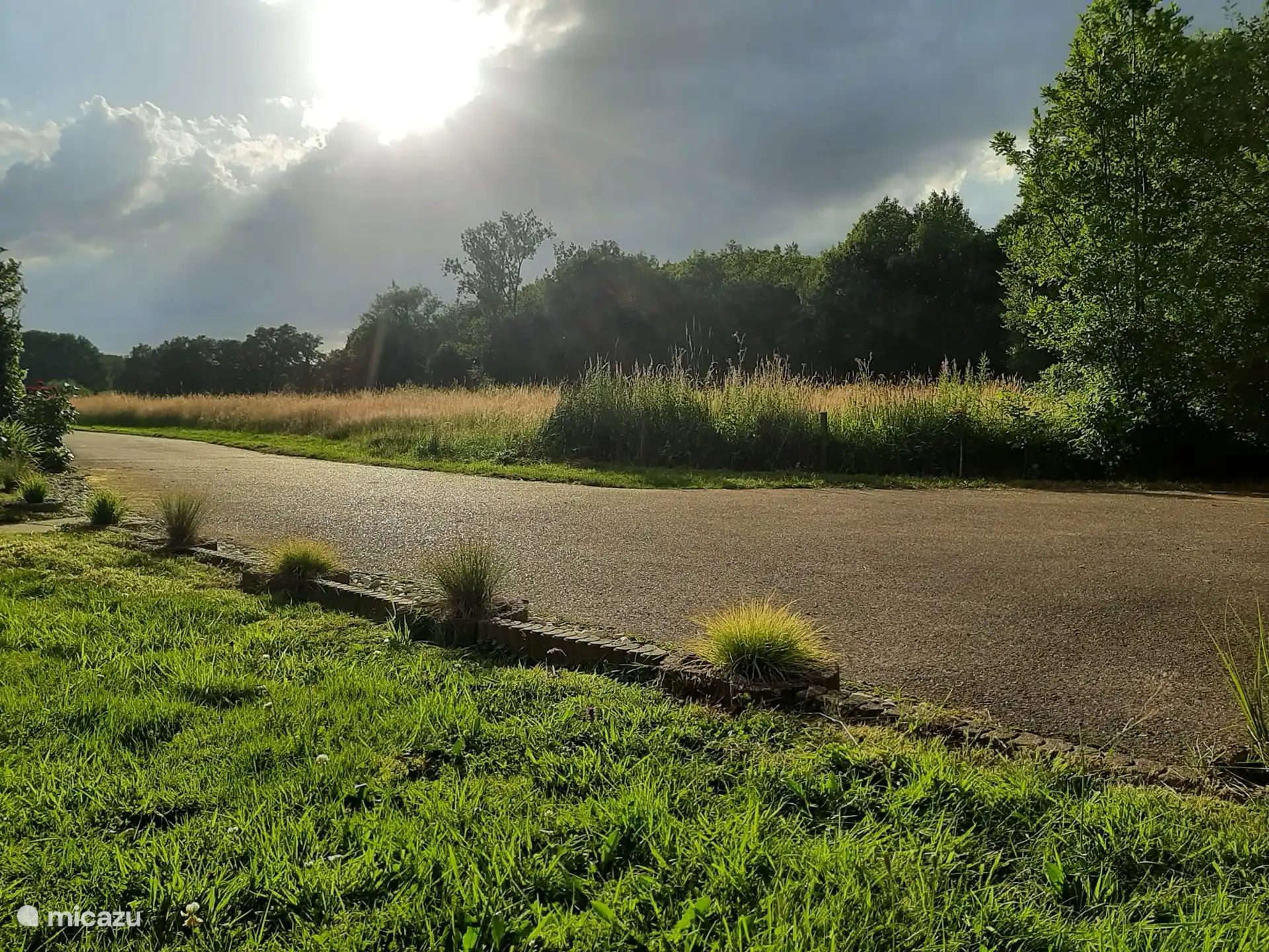 Spaziergänge direkt vom Haus in den Wald! 
    *Abendlicher Blick vom Vorgarten.*