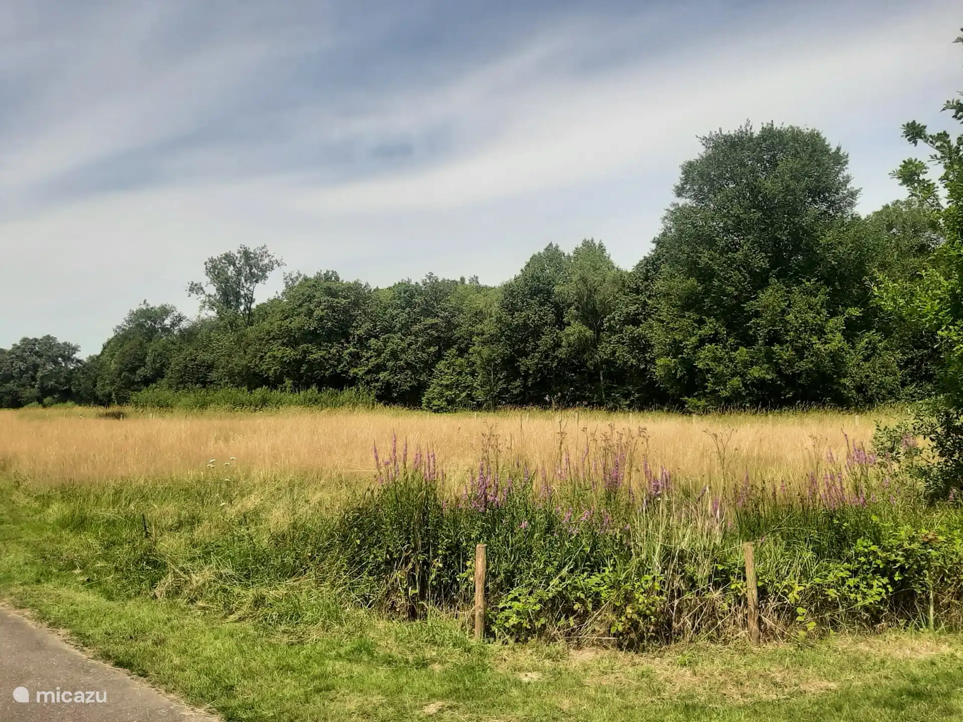 Blick aus dem Vorgarten/Küche.