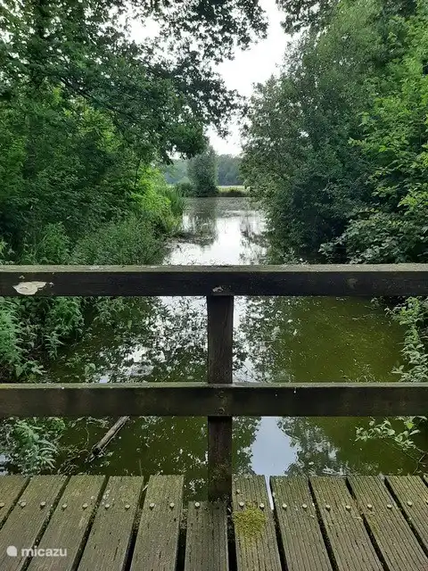 Brücke vom Ferienhaus zum Pool.