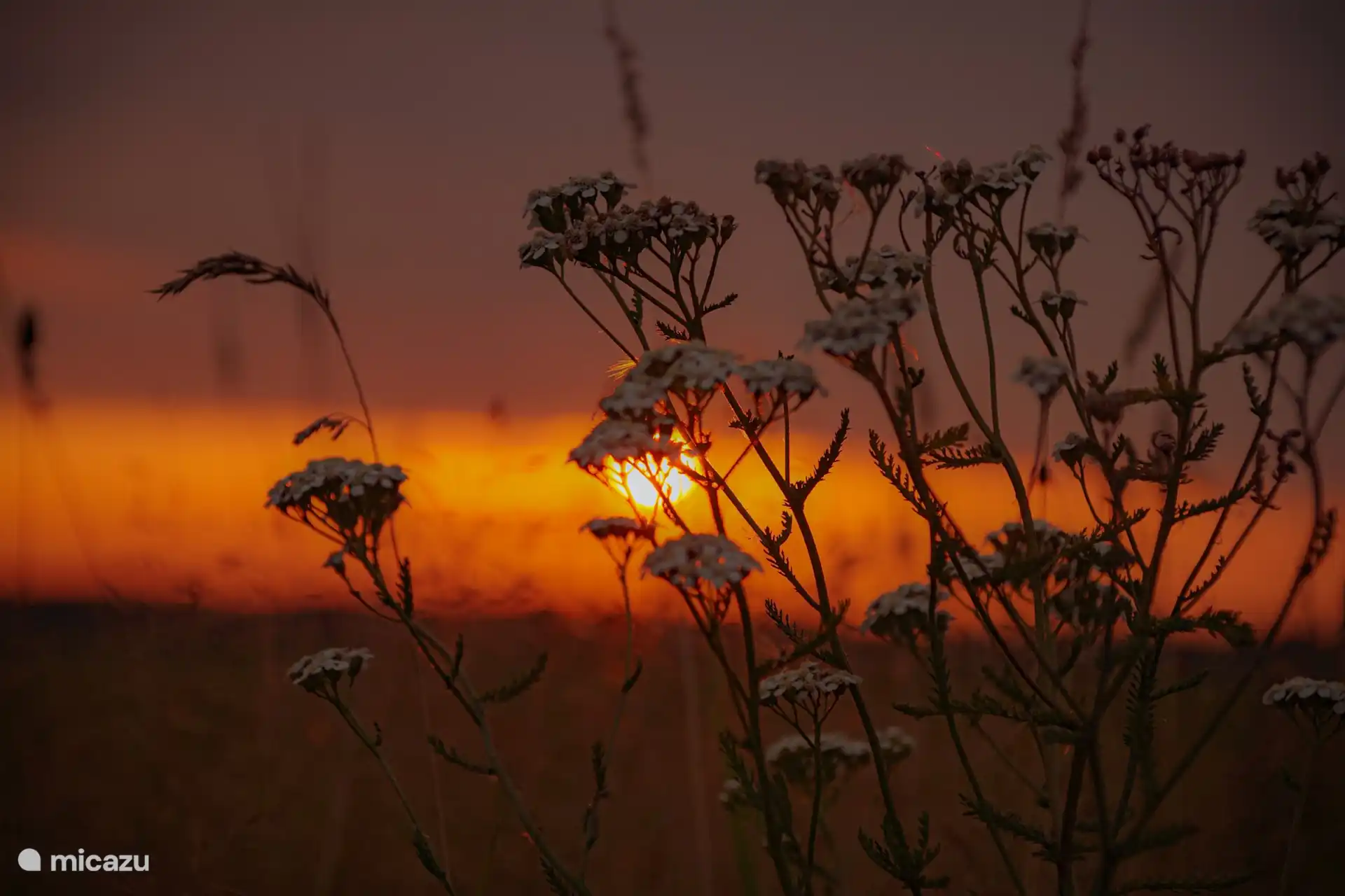 Genießen Sie den Sonnenuntergang auf der Heide in Doldersum.