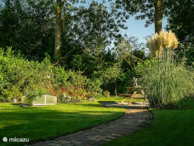 De Pimpelmees en Países Bajos, Frise, Boijl - casa vacacional Los penachos de la hierba ornamental en plena floración.