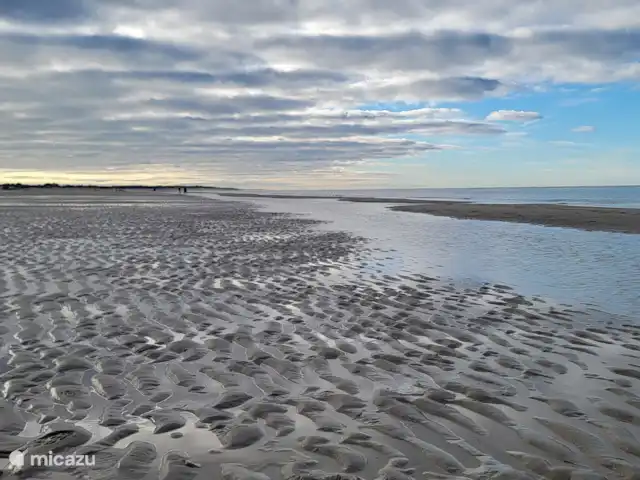 Paradis des vacances air marin | Pays-Bas, Zélande, Kamperland - maison de vacances Plage de la mer du Nord « De Banjaard »