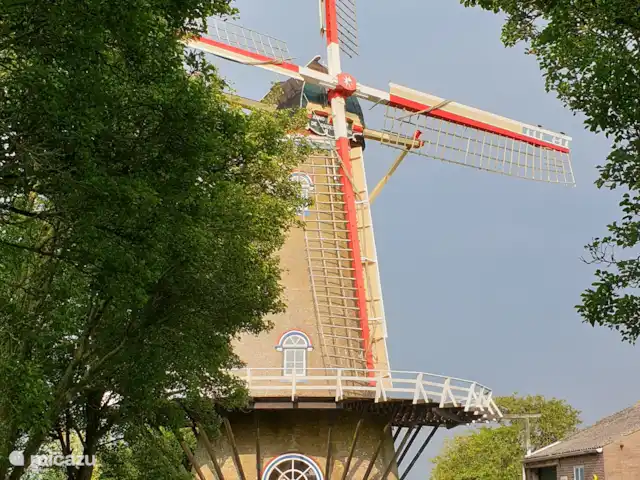 Paradis des vacances air marin | Pays-Bas, Zélande, Kamperland - maison de vacances Moulin à vent à Wissenkerke