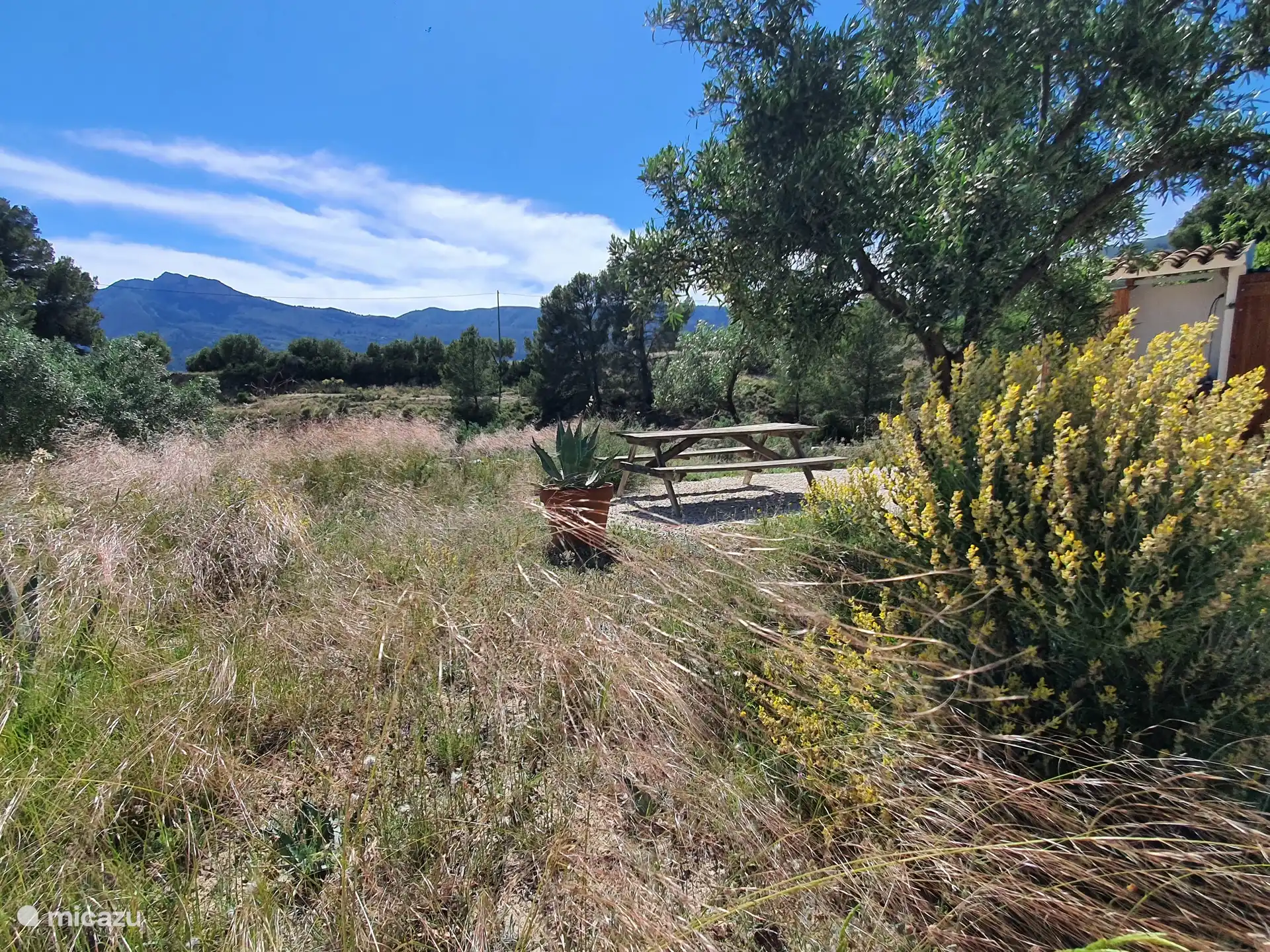 Picknicktisch am Pool mit ungehindertem Blick auf die Berge