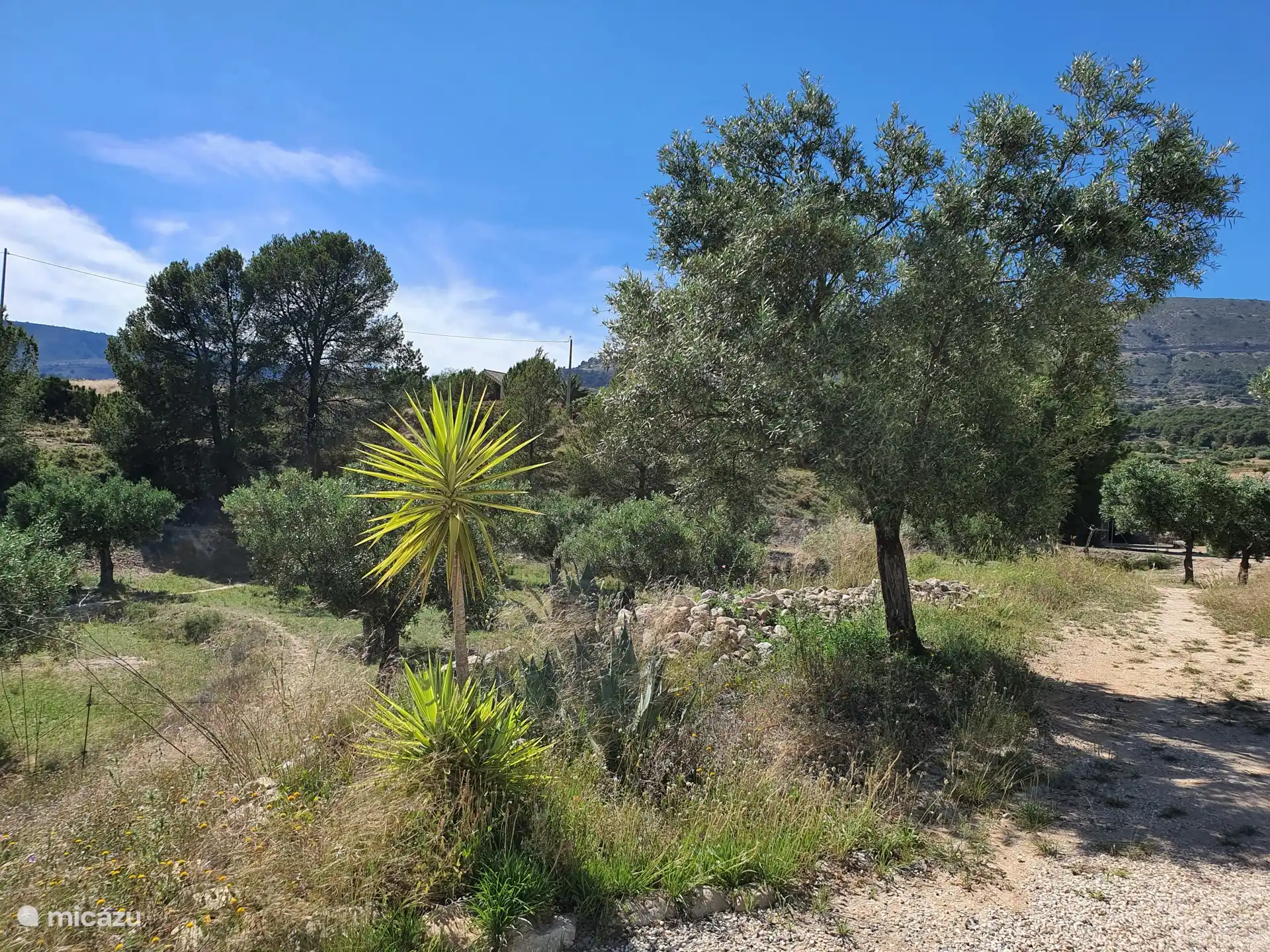 Umgebung der Finca