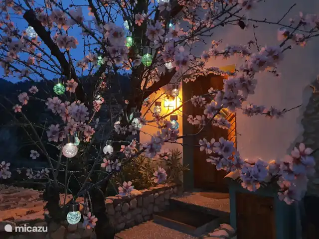 Finca Bugayeta | Espagne, Valence, Jijona - appartement Les amandiers de février en fleurs