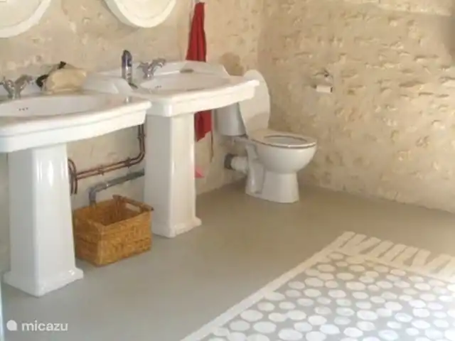vakantiehuis huren in Frankrijk, Dordogne, La Tour-Blanche-Cercles – Blanchetoure Badkamer
