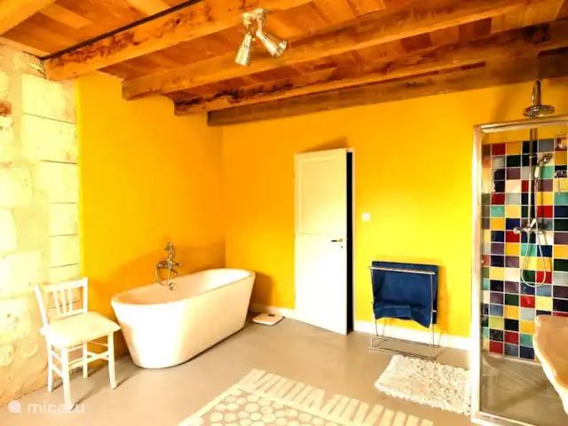 vakantiehuis huren in Frankrijk, Dordogne, La Tour-Blanche-Cercles – Blanchetoure Badkamer