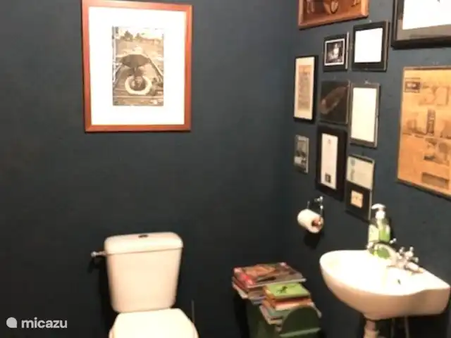 vakantiehuis huren in Frankrijk, Dordogne, La Tour-Blanche-Cercles – Blanchetoure Apart toilet