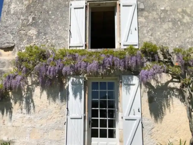 vakantiehuis huren in Frankrijk, Dordogne, La Tour-Blanche-Cercles – Blanchetoure De prachtige blauwe regen