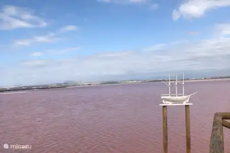 Expériences sur la Costa Blanca