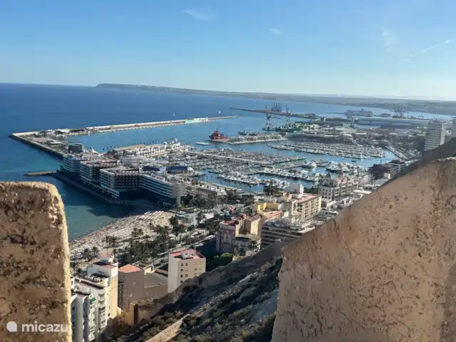 Villa Elena | Espagne, Costa Blanca, Los Montesinos - villa Marina Alicante