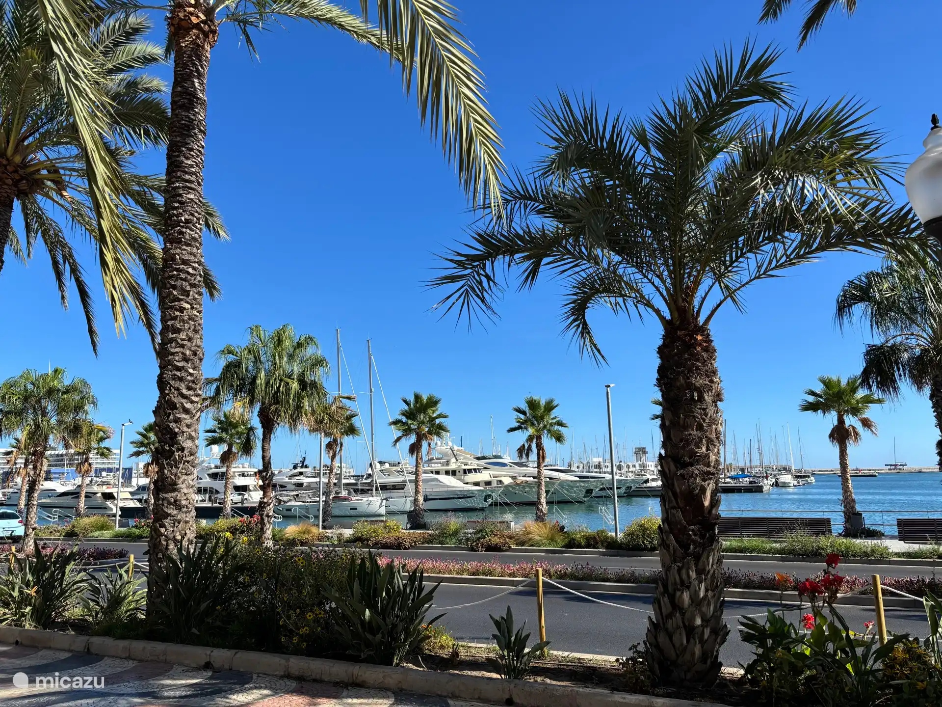 Port Alicante