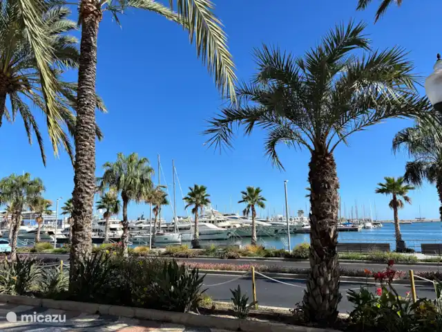 Villa Elena | Espagne, Costa Blanca, Los Montesinos - villa Port Alicante