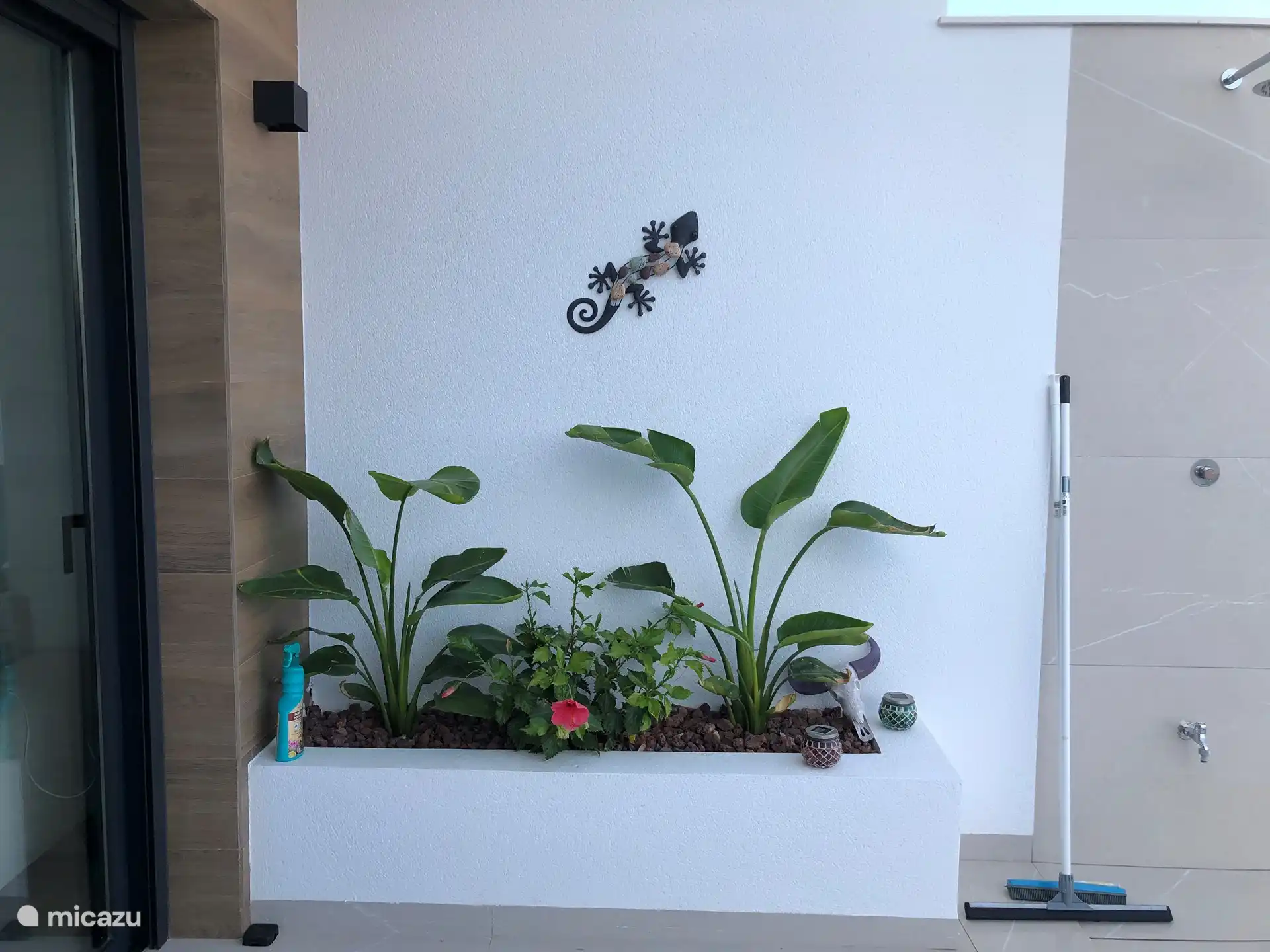 Plantation méditerranéenne 