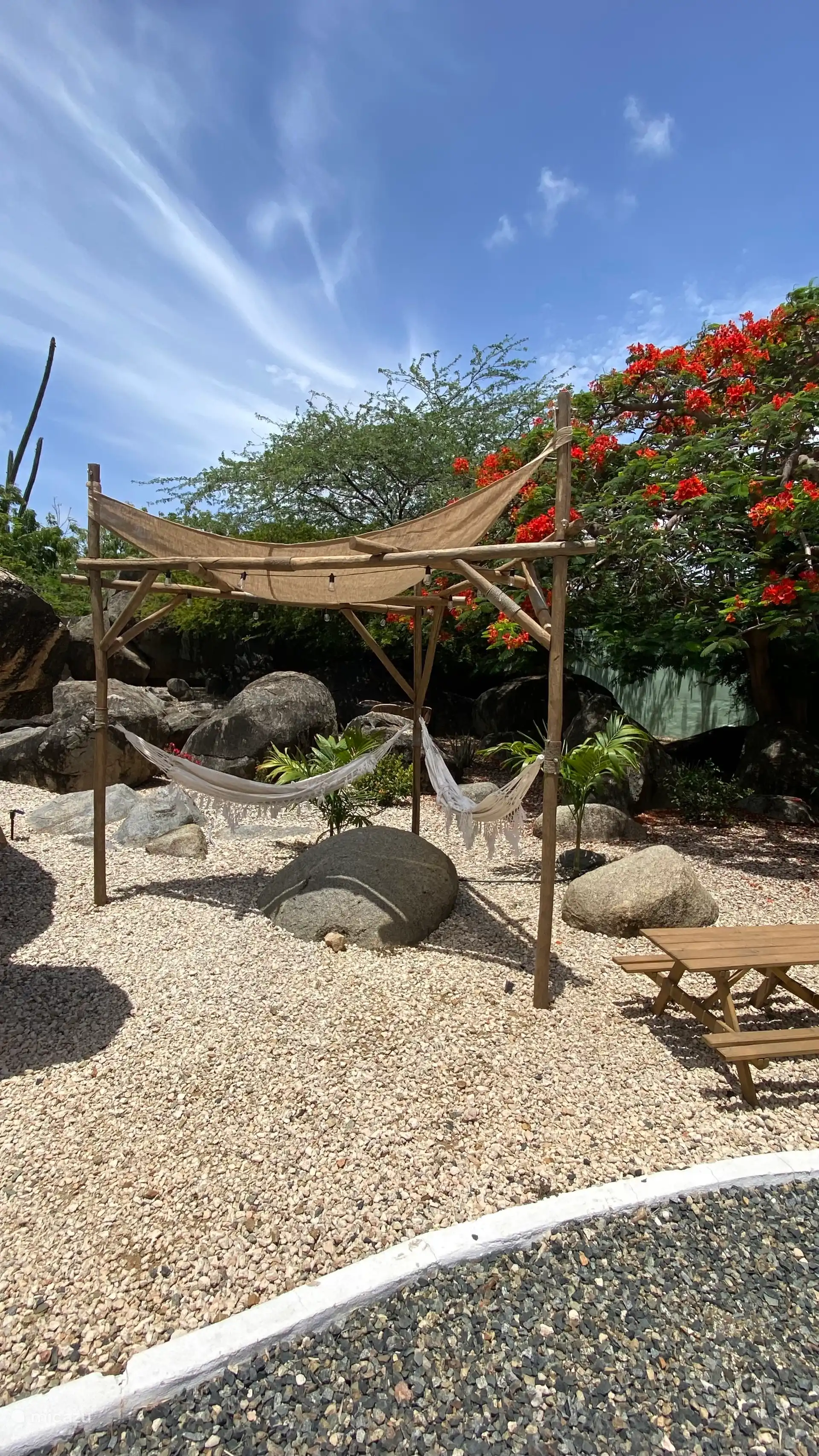 Disfruta de nuestro hermoso jardín