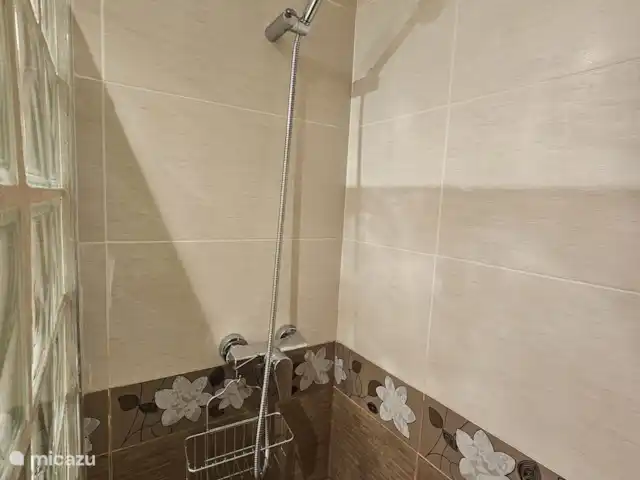 Casa Rayo De Sol  huren in Spanje, Costa Blanca, Torrevieja - appartement Inloopdouche