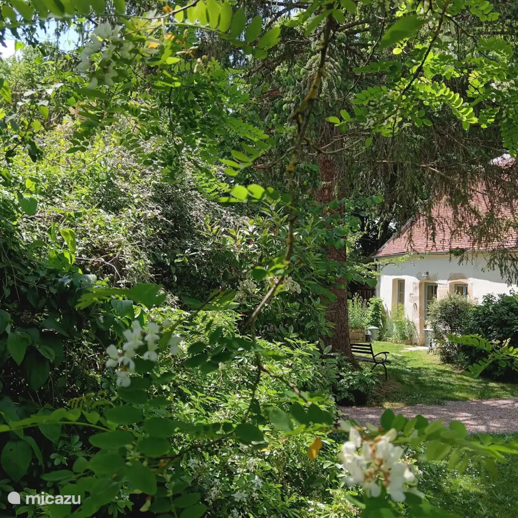 Gîte Romantique en Bourgogne