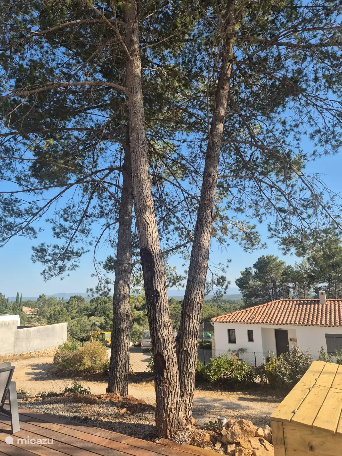 De beaux pins hauts fournissent de l’ombre naturelle sur la terrasse