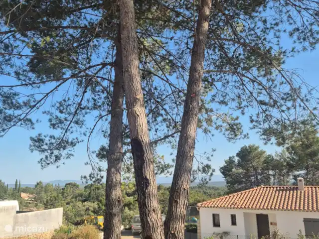 villa huren in Frankrijk, Var, Flayosc – Hagelnieuwe villa in de Var Mooie hoge dennen zorgen voor natuurlijke schaduw op het terras
