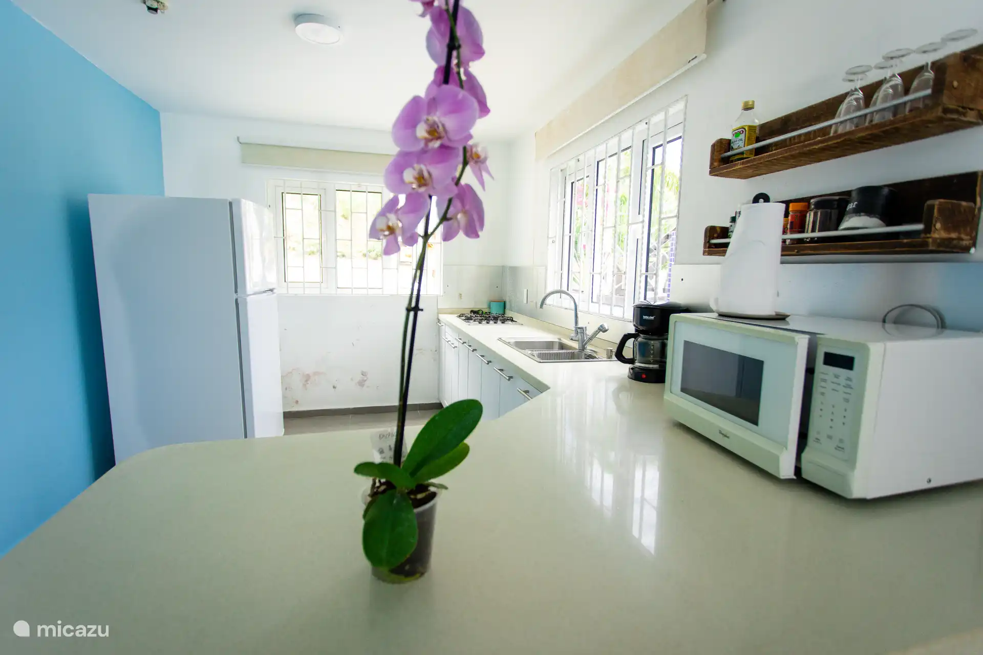 Ein einladender Hauch von Natur in einer voll ausgestatteten Küche mit Mikrowelle und Kaffeemaschine.