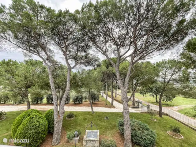 Groepsaccommodatie, Italië, Umbrië, Fratta Todina, villa Villa voor 14p met privé zwembad