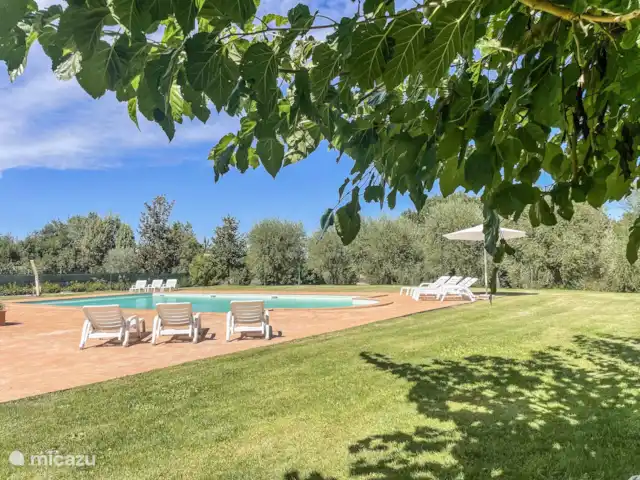 Groepsaccommodatie, Italië, Umbrië, Fratta Todina, villa Villa voor 14p met privé zwembad