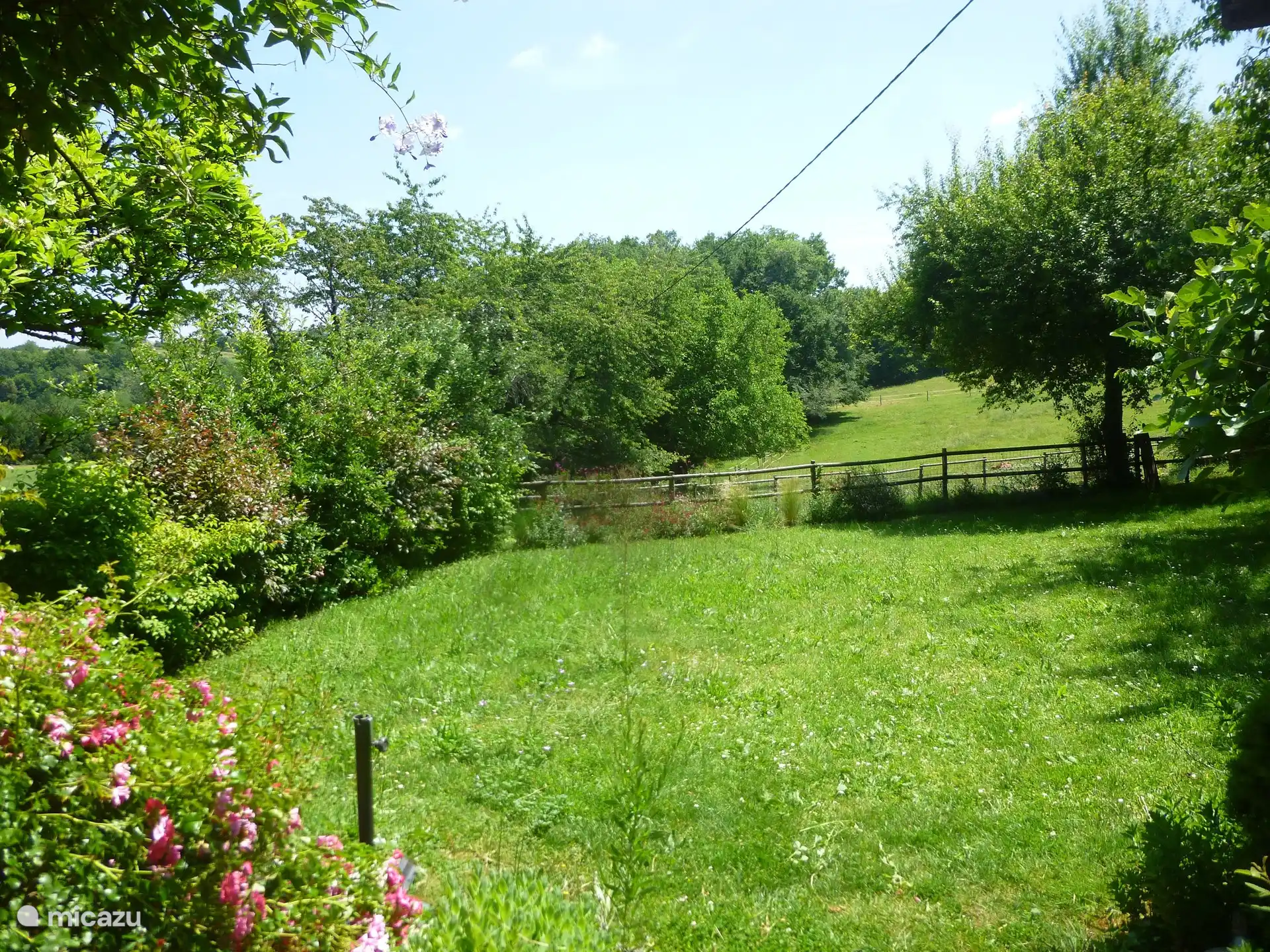 Blick auf den Garten