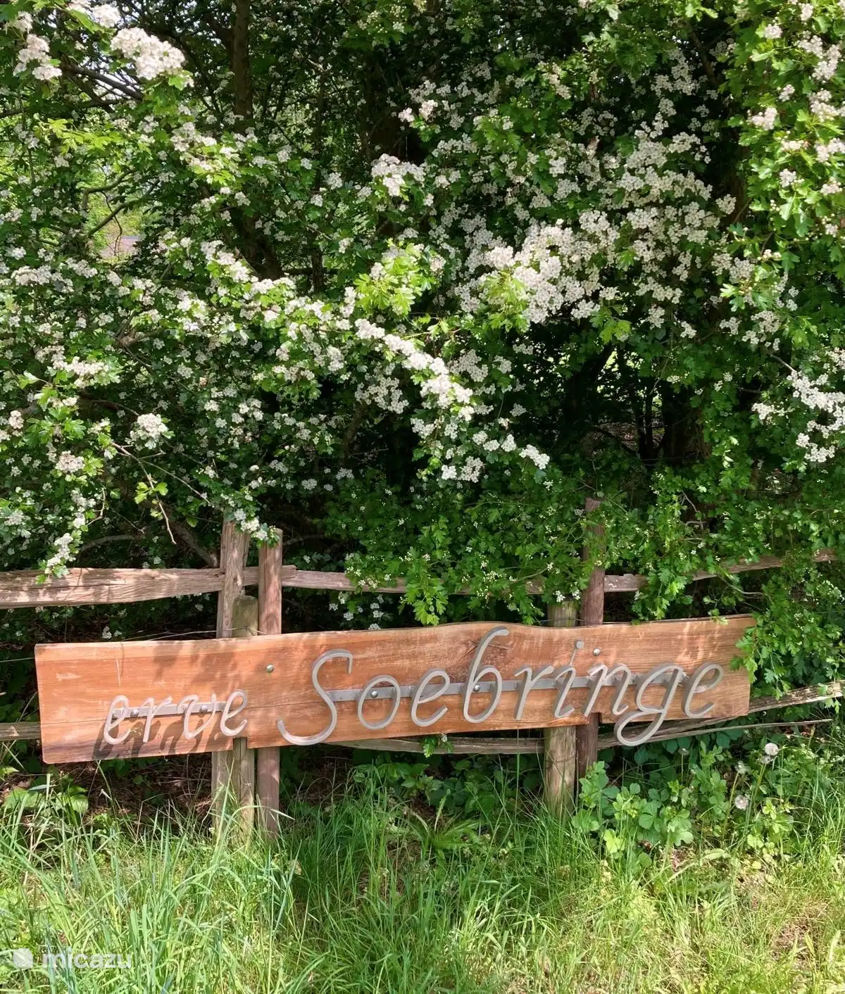 Erve Soebringe (zuid van de brink)