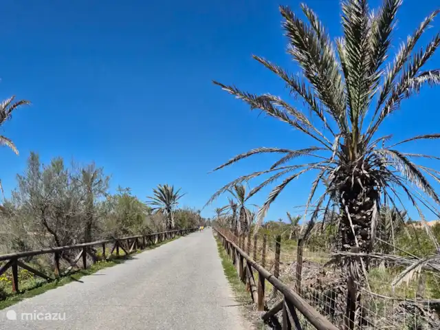 Maison de plage Playa Argentina | Espagne, Costa Blanca, Guardamar del Segura - maison de vacances Images atmosphériques des environs