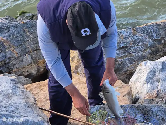 Maison de plage Playa Argentina | Espagne, Costa Blanca, Guardamar del Segura - maison de vacances Images atmosphériques des environs