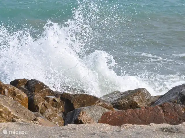 Maison de plage Playa Argentina | Espagne, Costa Blanca, Guardamar del Segura - maison de vacances Jetée