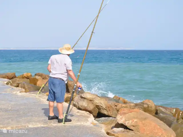 Maison de plage Playa Argentina | Espagne, Costa Blanca, Guardamar del Segura - maison de vacances Jetée